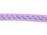 Fancy braid